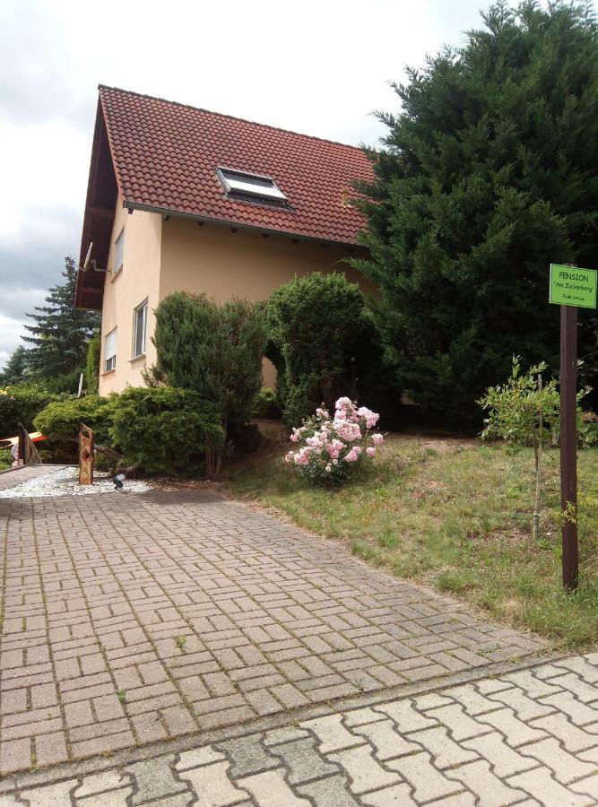 Pension "Am Zuckerberg" Brahmenau Extérieur photo